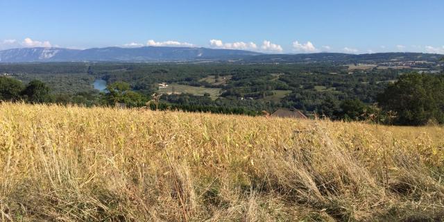 Vue Depuis Collonges Ain