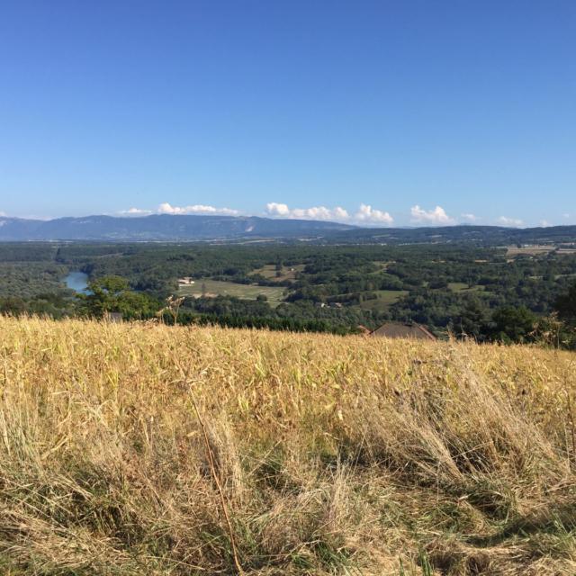 Vue Depuis Collonges Ain