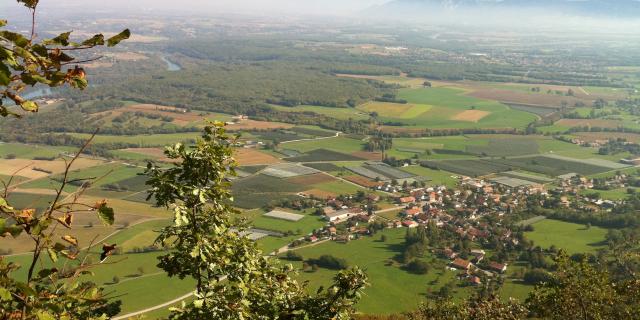 chevrier-vue-haut.jpg