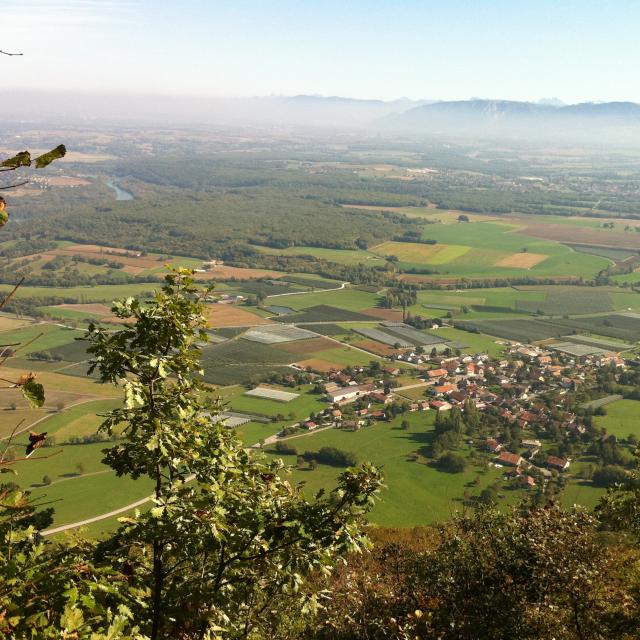 chevrier-vue-haut.jpg