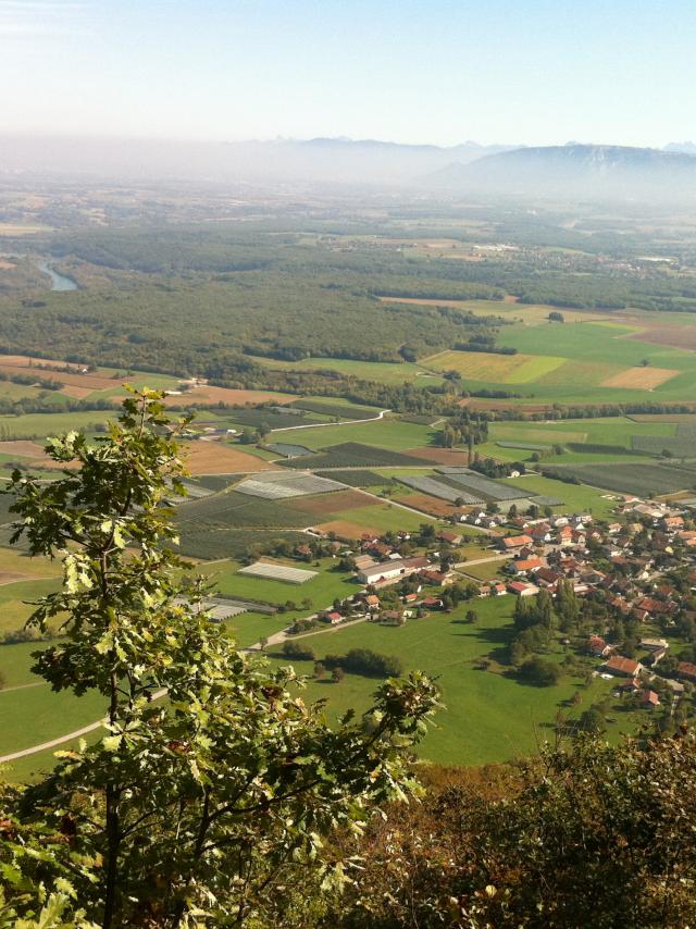 chevrier-vue-haut.jpg