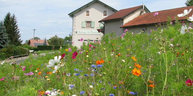 vers-auberge-de-la-fruitire-dominique-ernst.jpg