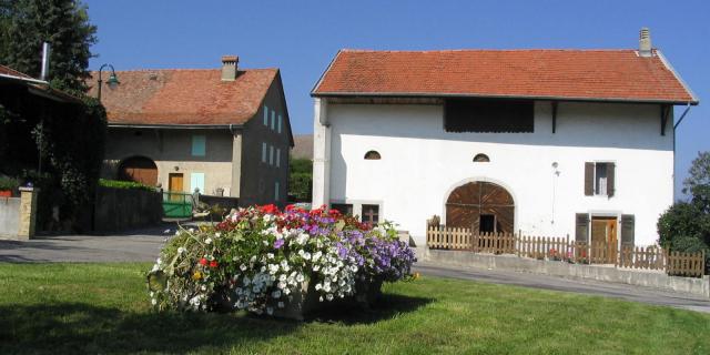 vers-chemin-de-longeraie-dominique-ernst.jpg