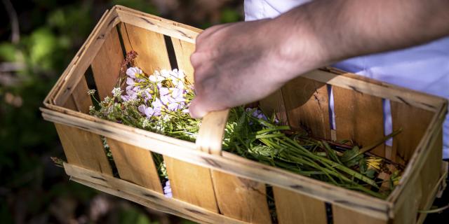 Panier d'herbes Refuge des Gourmets