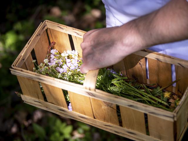 Panier d'herbes Refuge des Gourmets