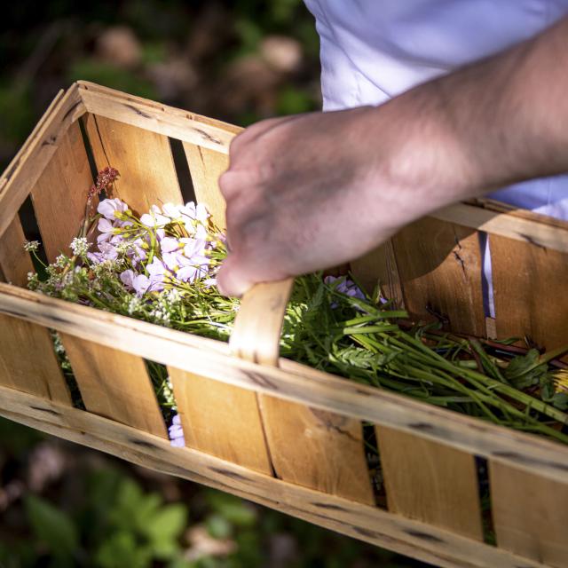 Panier d'herbes Refuge des Gourmets