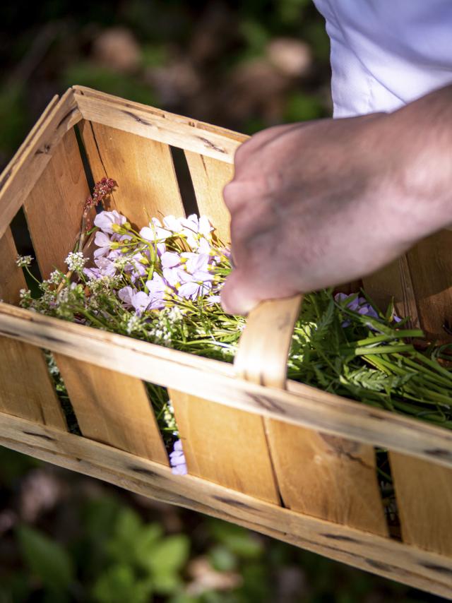 Panier d'herbes Refuge des Gourmets