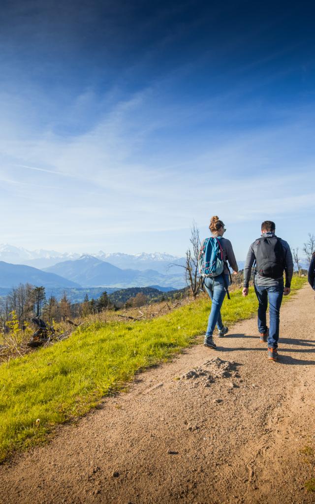 View of the Alps from the Voirons