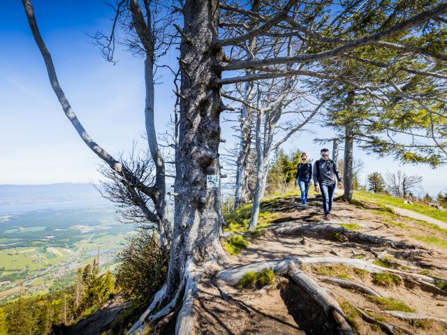 Hiking in Voirons mountain