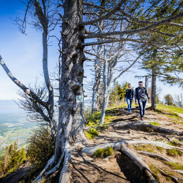 Randonnée entre amis sur la crête des Voirons.