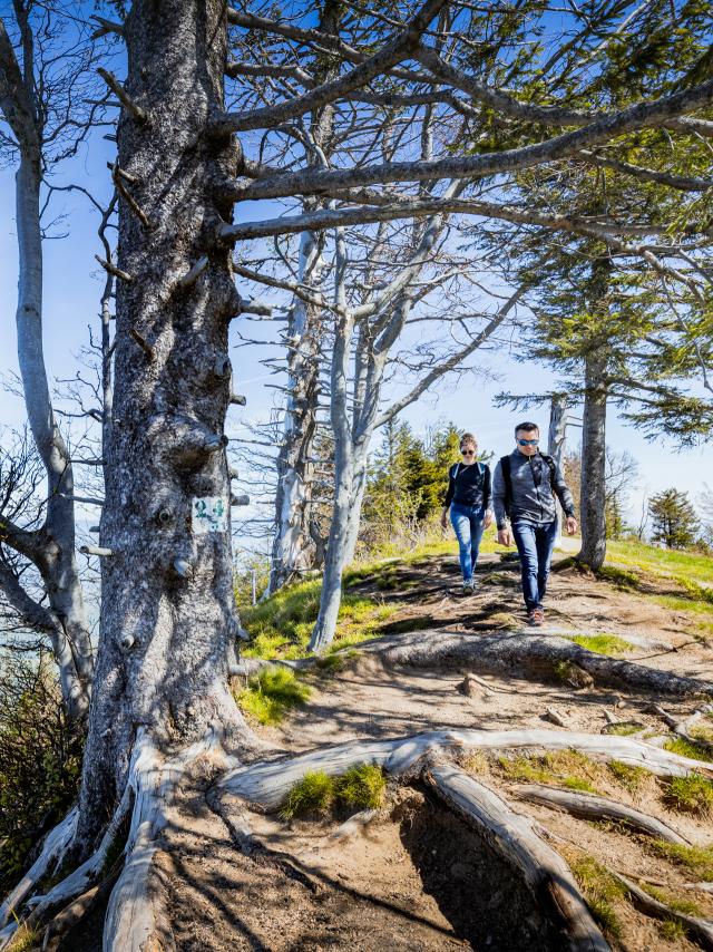 Hiking in Voirons mountain