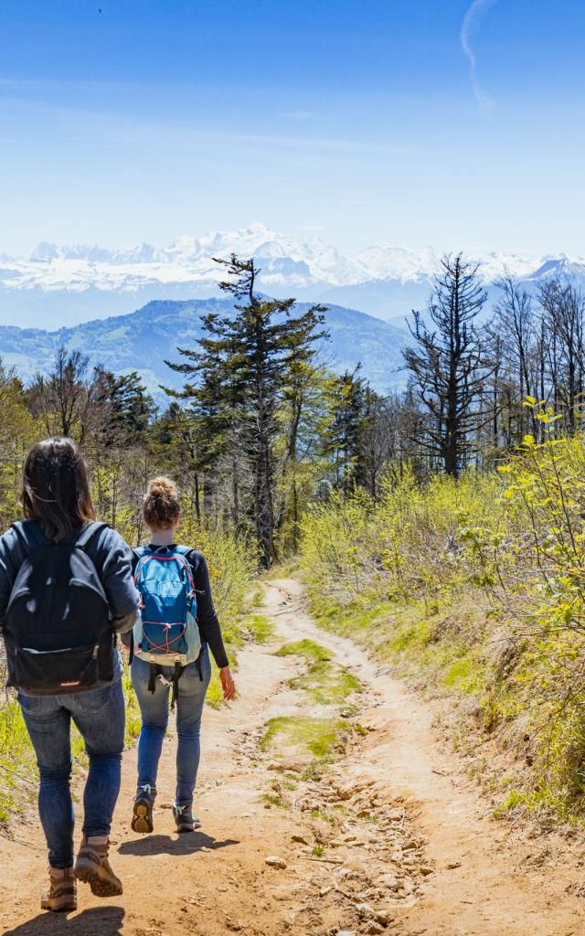 Randonnée entre amis sur la crête des Voirons.