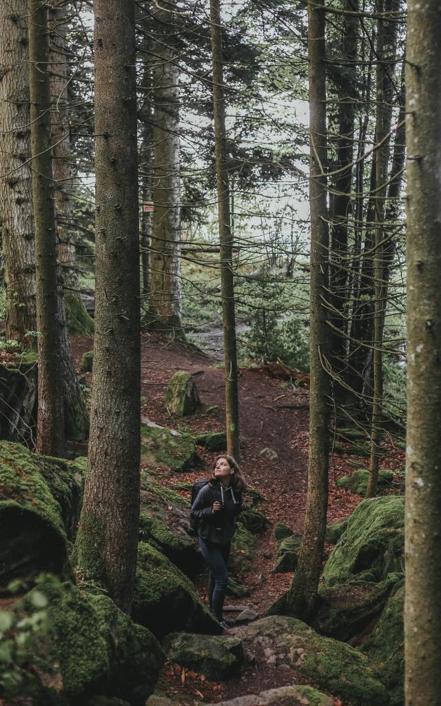 Personne dans les bois aux Voirons