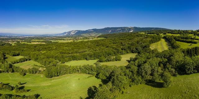 saleve-ot-monts-de-geneve-alpcat-medias-pano0001-panorama-8-ld.jpg