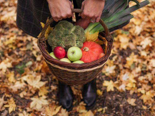 Le marché de producteurs