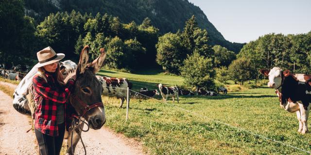 Randonnée avec les animaux