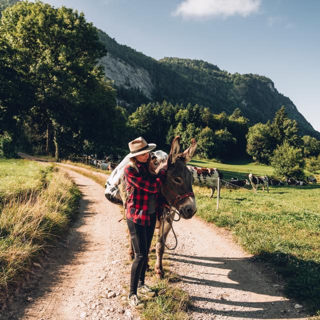 Randonnée avec les animaux