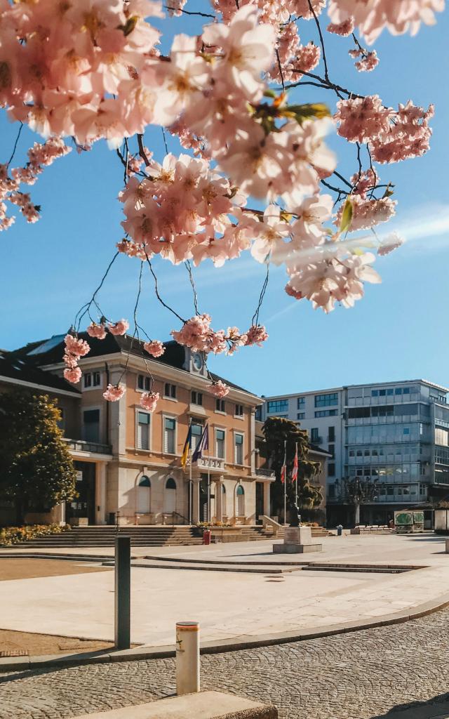 Mairie D Annemasse Anastasiia Modylevskaia 1047