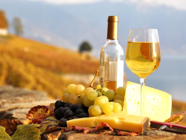 Glass,Of,White,Wine,And,Chesse,On,The,Terrace,Vineyard