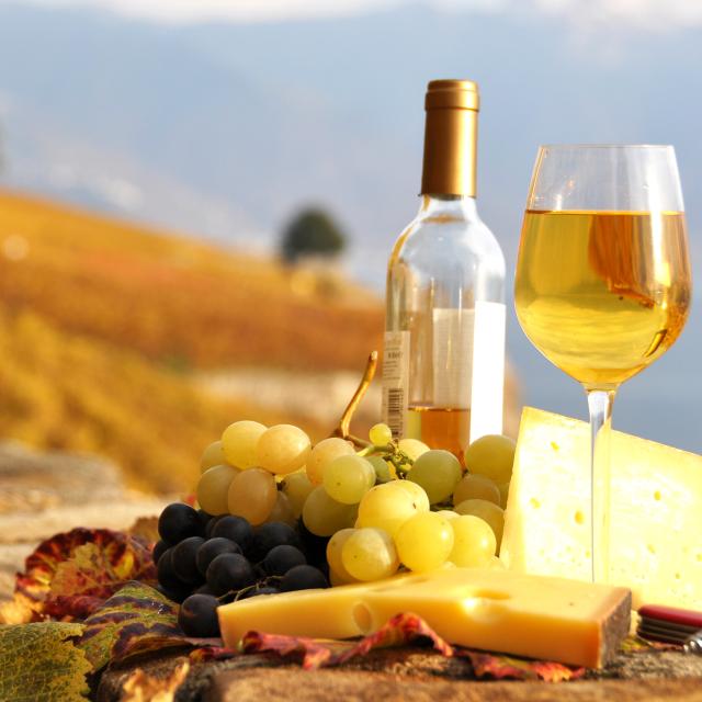 Glass,Of,White,Wine,And,Chesse,On,The,Terrace,Vineyard