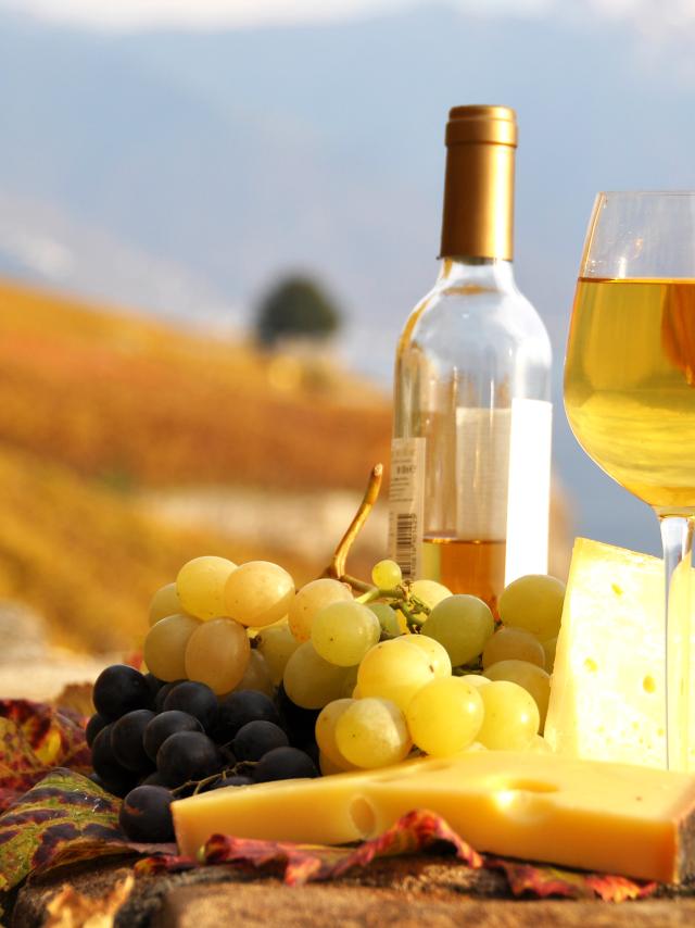 Glass,Of,White,Wine,And,Chesse,On,The,Terrace,Vineyard