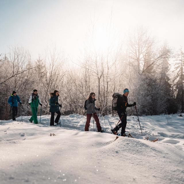 Schneeschuhwanderung in Les Voirons Mathis Decroux 18