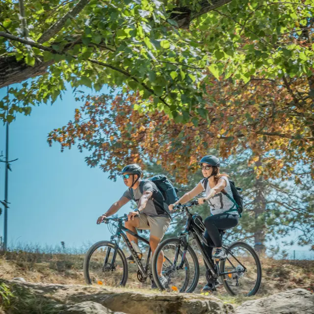 Pratique du vélo