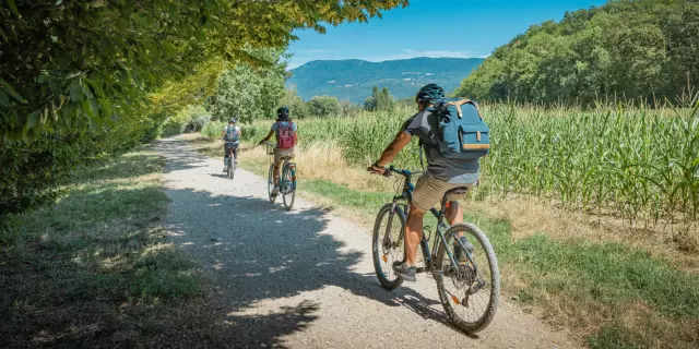 Pratique Du Velo Alpcat Medias 5108 1400px